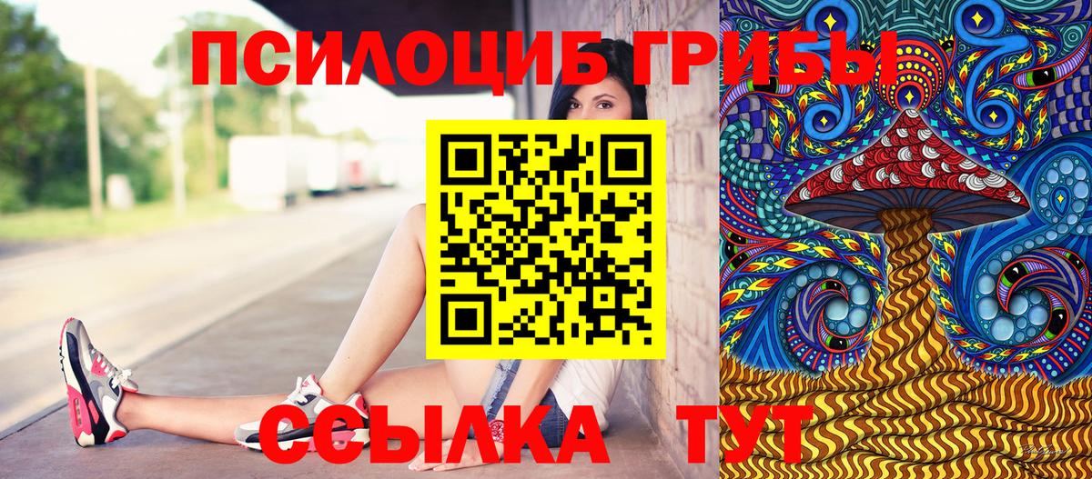 Галлюциногенные грибы GOLDEN TEACHER Ревда
